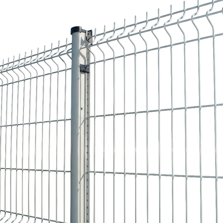 generated-image-img_1772500812475_gmtfg0im2-0(1)